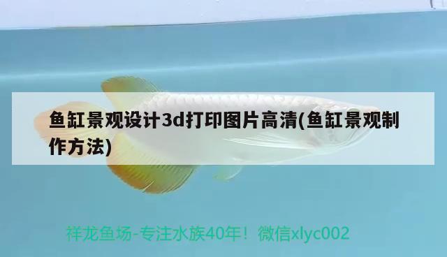 鱼缸景观设计3d打印图片高清(鱼缸景观制作方法) 广州景观设计