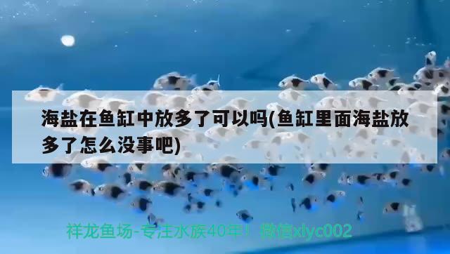 海盐在鱼缸中放多了可以吗(鱼缸里面海盐放多了怎么没事吧)