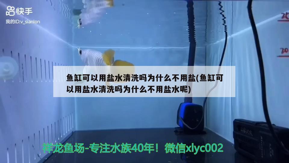 鱼缸可以用盐水清洗吗为什么不用盐(鱼缸可以用盐水清洗吗为什么不用盐水呢)