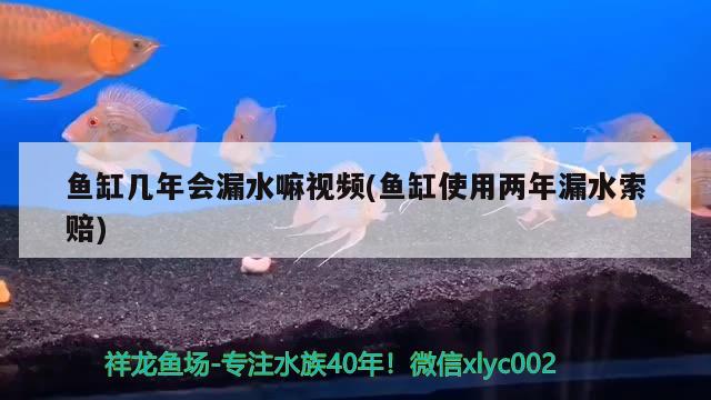 鱼缸几年会漏水嘛视频(鱼缸使用两年漏水索赔) 帝王血钻鱼