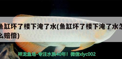 鱼缸坏了楼下淹了水(鱼缸坏了楼下淹了水怎么赔偿)