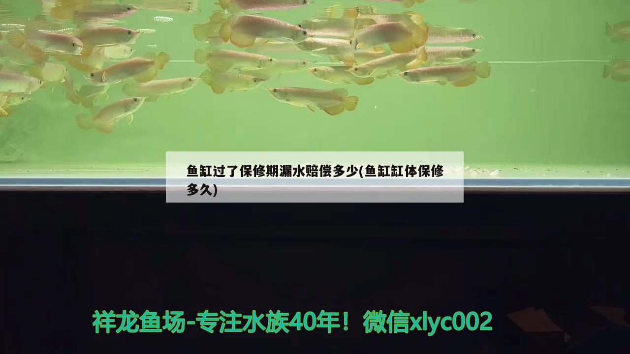 鱼缸过了保修期漏水赔偿多少(鱼缸缸体保修多久) 红龙专用鱼粮饲料