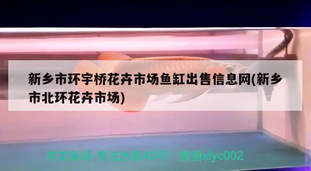 新乡市环宇桥花卉市场鱼缸出售信息网(新乡市北环花卉市场) 鱼缸等水族设备