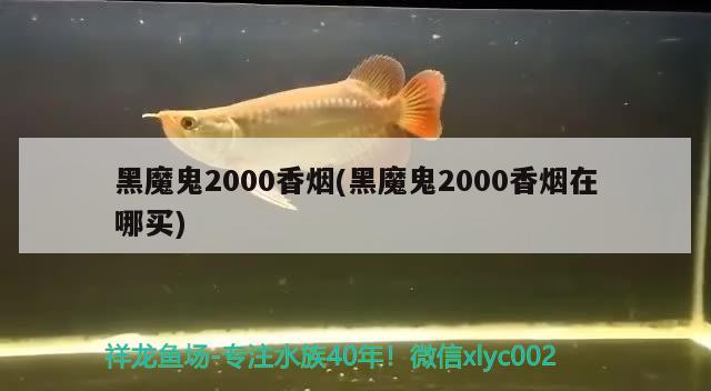 黑魔鬼2000香烟(黑魔鬼2000香烟在哪买) 观赏鱼