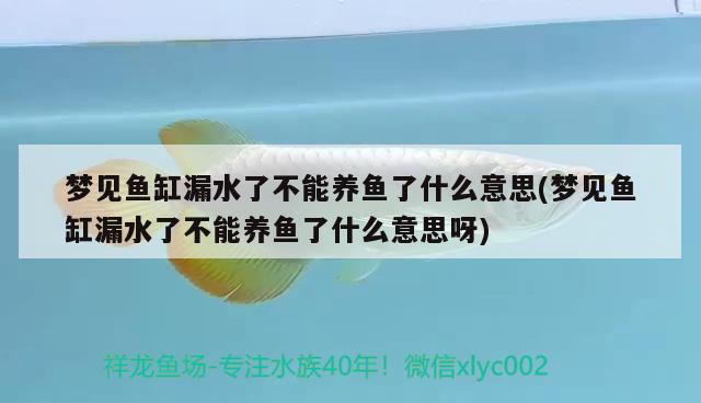 梦见鱼缸漏水了不能养鱼了什么意思(梦见鱼缸漏水了不能养鱼了什么意思呀)