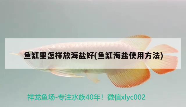 鱼缸里怎样放海盐好(鱼缸海盐使用方法)