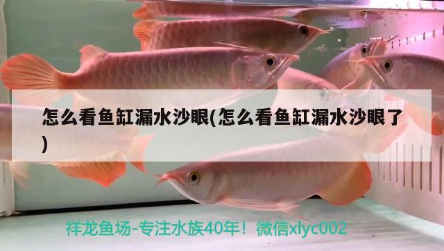 怎么看鱼缸漏水沙眼(怎么看鱼缸漏水沙眼了) 铁甲武士