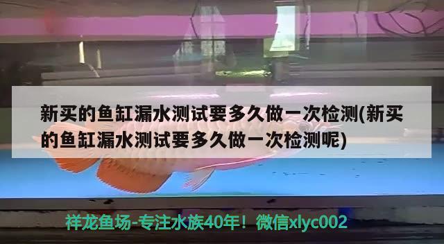 新买的鱼缸漏水测试要多久做一次检测(新买的鱼缸漏水测试要多久做一次检测呢) 除藻剂