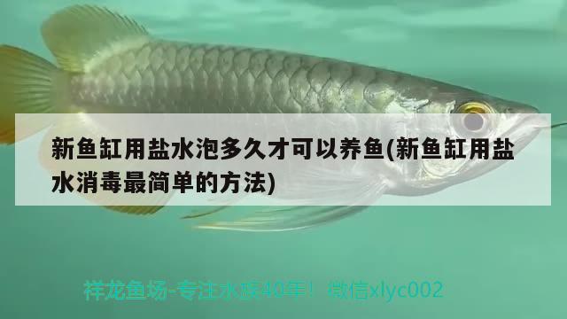 新鱼缸用盐水泡多久才可以养鱼(新鱼缸用盐水消毒最简单的方法)