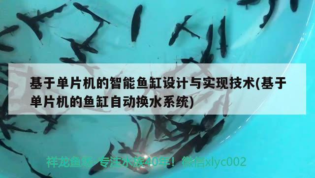 基于单片机的智能鱼缸设计与实现技术(基于单片机的鱼缸自动换水系统)