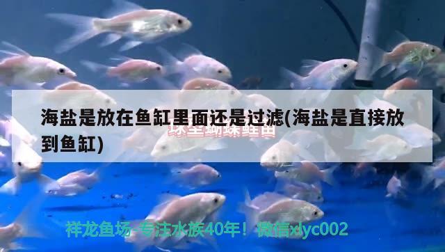 海盐是放在鱼缸里面还是过滤(海盐是直接放到鱼缸)