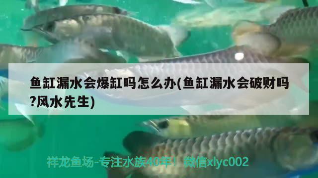 鱼缸漏水会爆缸吗怎么办(鱼缸漏水会破财吗?风水先生)