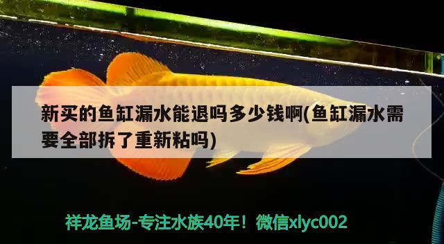 新买的鱼缸漏水能退吗多少钱啊(鱼缸漏水需要全部拆了重新粘吗) 进口元宝凤凰鱼