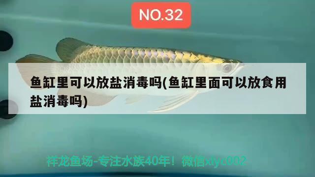 鱼缸里可以放盐消毒吗(鱼缸里面可以放食用盐消毒吗) 观赏龟/鳖饲料