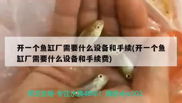 开一个鱼缸厂需要什么设备和手续(开一个鱼缸厂需要什么设备和手续费)