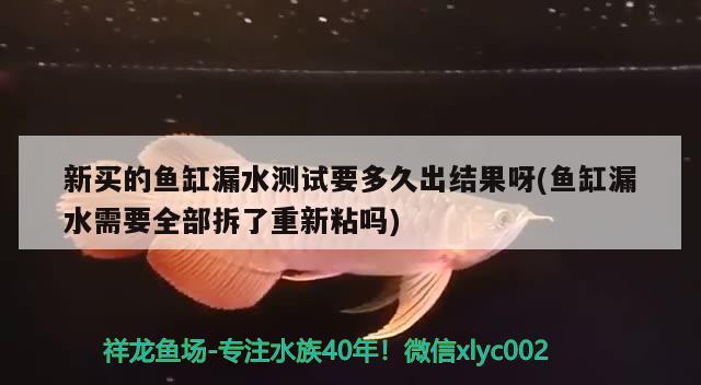 新买的鱼缸漏水测试要多久出结果呀(鱼缸漏水需要全部拆了重新粘吗)