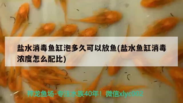 盐水消毒鱼缸泡多久可以放鱼(盐水鱼缸消毒浓度怎么配比)