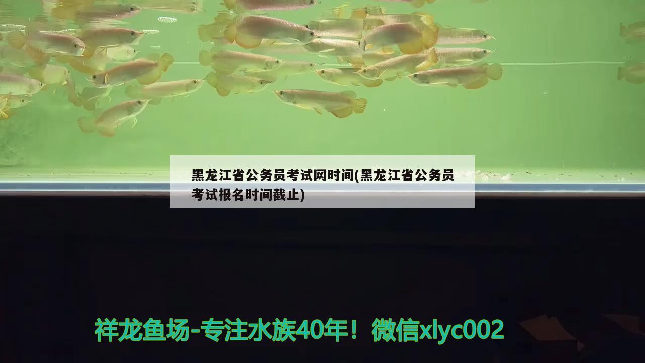 黑龙江省公务员考试网时间(黑龙江省公务员考试报名时间截止)