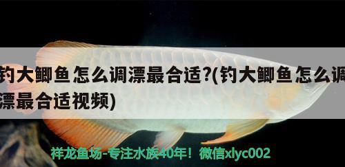 钓大鲫鱼怎么调漂最合适?(钓大鲫鱼怎么调漂最合适视频) 垂钓乐园