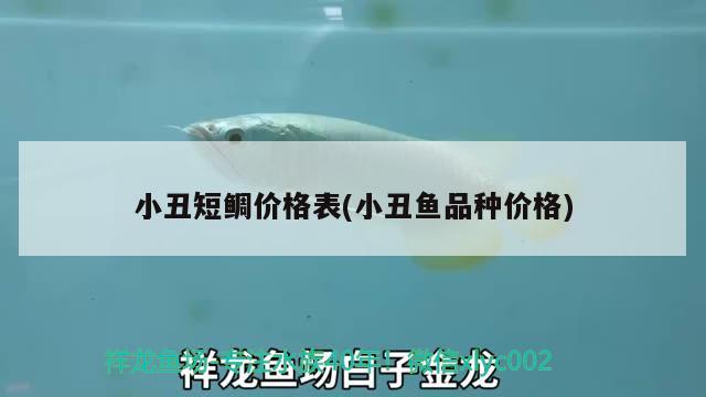 小丑短鲷价格表(小丑鱼品种价格) 海水鱼 第2张