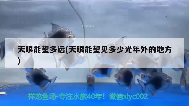 天眼能望多远(天眼能望见多少光年外的地方) 观赏鱼 第1张