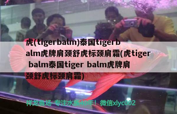 虎(tigerbalm)泰国tigerbalm虎牌肩颈舒虎标颈肩霜(虎tigerbalm泰国tigerbalm虎牌肩颈舒虎标颈肩霜)