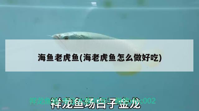 海鱼老虎鱼(海老虎鱼怎么做好吃)