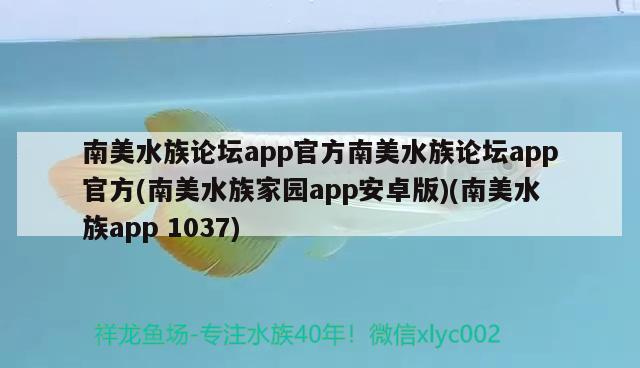 南美水族论坛app官方南美水族论坛app官方(南美水族家园app安卓版)(南美水族app1037)