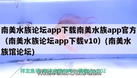 南美水族论坛app下载南美水族app官方（南美水族论坛app下载v10）(南美水族馆论坛)