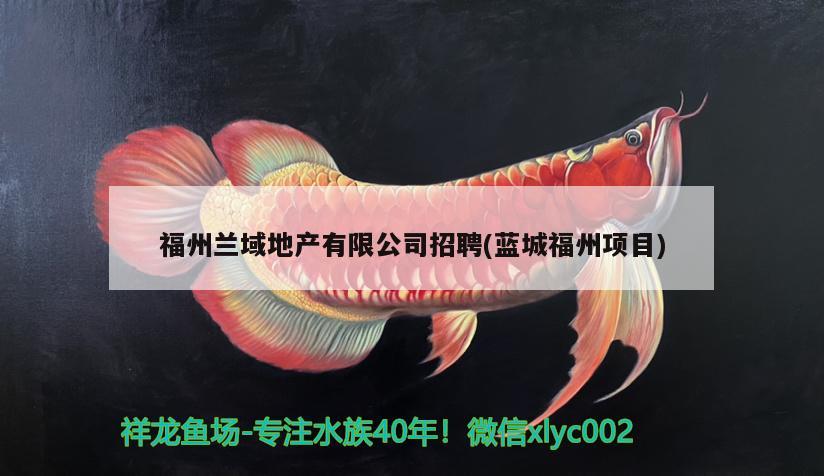 福州兰域地产有限公司招聘(蓝城福州项目) 观赏鱼