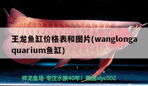 王龙鱼缸价格表和图片(wanglongaquarium鱼缸)