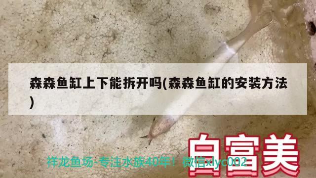 森森鱼缸上下能拆开吗(森森鱼缸的安装方法)