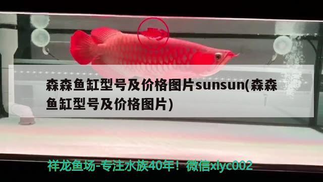 森森鱼缸型号及价格图片sunsun(森森鱼缸型号及价格图片)