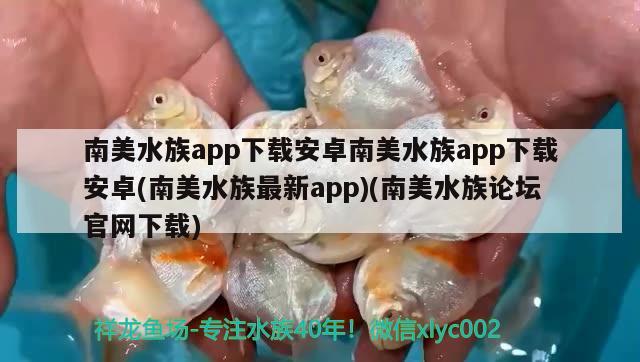 南美水族app下载安卓南美水族app下载安卓(南美水族最新app)(南美水族论坛官网下载) 蓝帆三间鱼