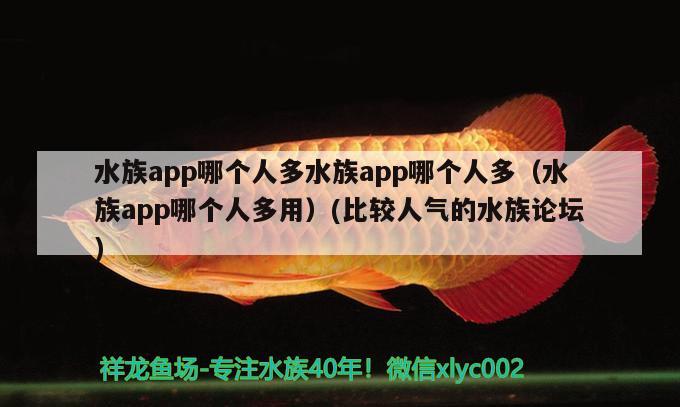 水族app哪个人多水族app哪个人多（水族app哪个人多用）(比较人气的水族论坛) 黑影道人鱼