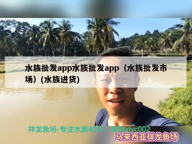 水族批发app水族批发app（水族批发市场）(水族进货) 观赏鱼水族批发市场