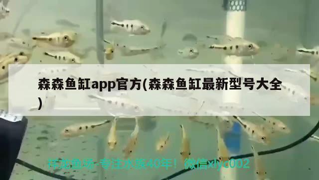 森森鱼缸app官方(森森鱼缸最新型号大全)