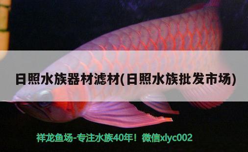 日照水族器材滤材(日照水族批发市场) 观赏鱼水族批发市场