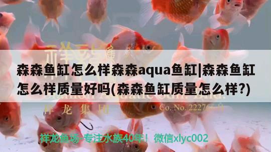 森森鱼缸怎么样森森aqua鱼缸|森森鱼缸怎么样质量好吗(森森鱼缸质量怎么样?) 泰国雪鲫鱼