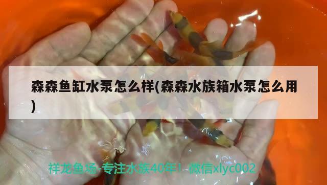 森森鱼缸水泵怎么样(森森水族箱水泵怎么用)