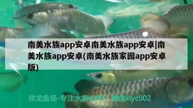 南美水族app安卓南美水族app安卓|南美水族app安卓(南美水族家园app安卓版) 一眉道人鱼