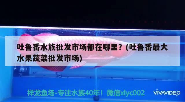 吐鲁番水族批发市场都在哪里？(吐鲁番最大水果蔬菜批发市场)