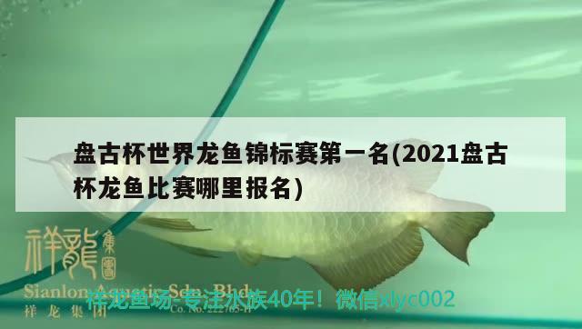 盘古杯世界龙鱼锦标赛第一名(2021盘古杯龙鱼比赛哪里报名)