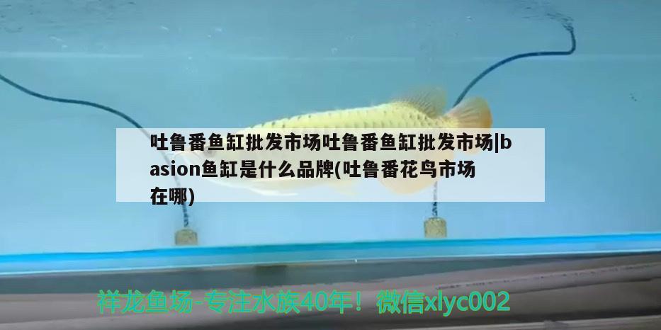 吐鲁番鱼缸批发市场吐鲁番鱼缸批发市场|basion鱼缸是什么品牌(吐鲁番花鸟市场在哪)