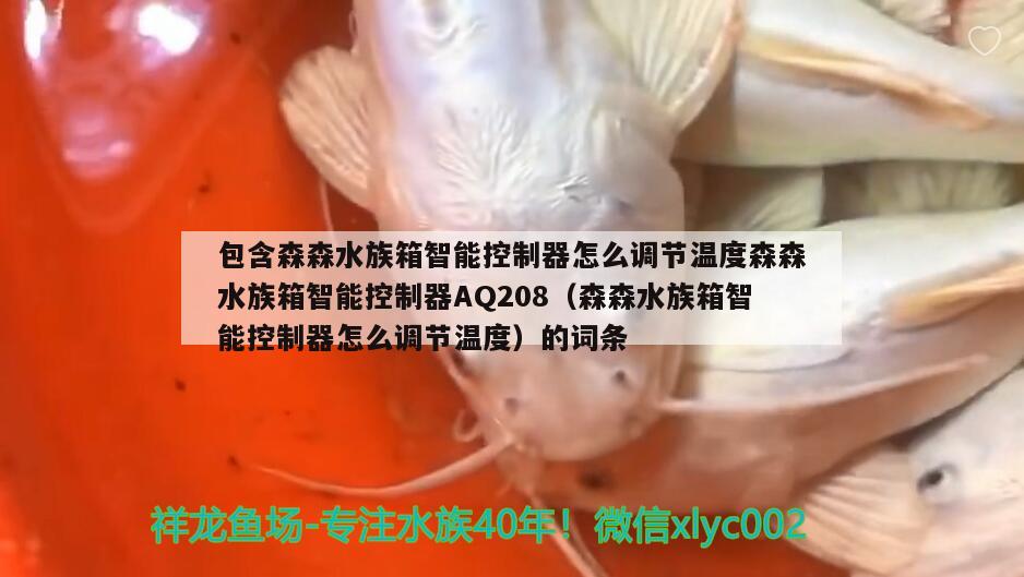 包含森森水族箱智能控制器怎么调节温度森森水族箱智能控制器AQ208（森森水族箱智能控制器怎么调节温度）的词条 鱼缸/水族箱