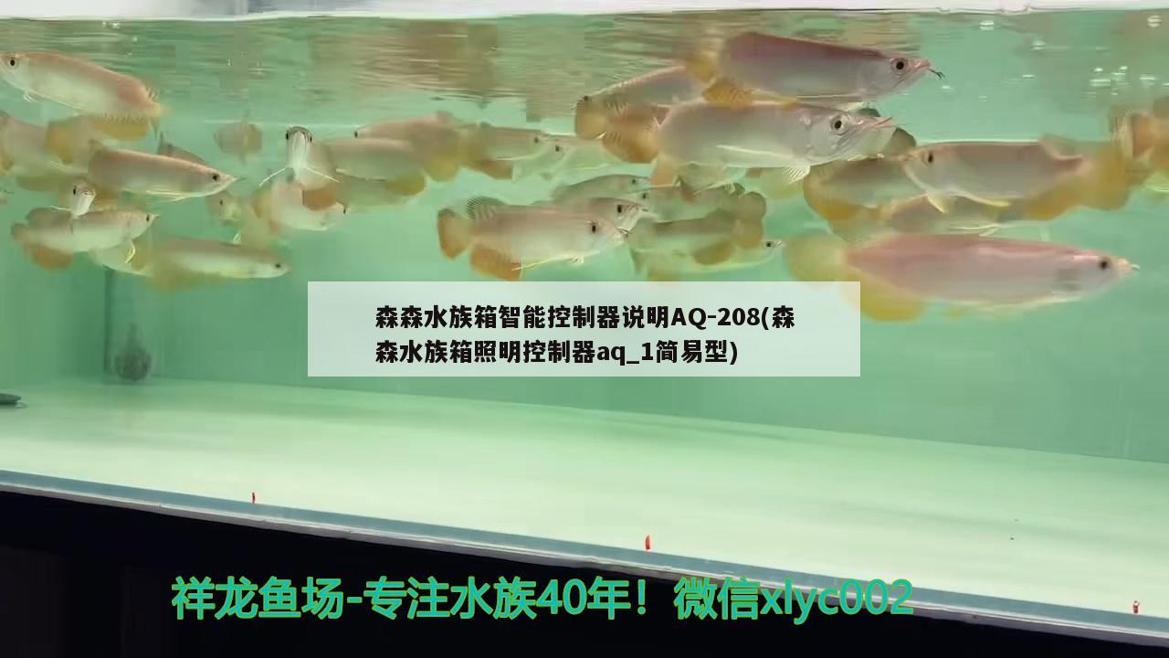 森森水族箱智能控制器说明AQ-208(森森水族箱照明控制器aq_1简易型)