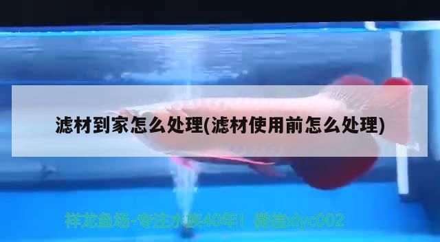 滤材到家怎么处理(滤材使用前怎么处理) 广州水族批发市场