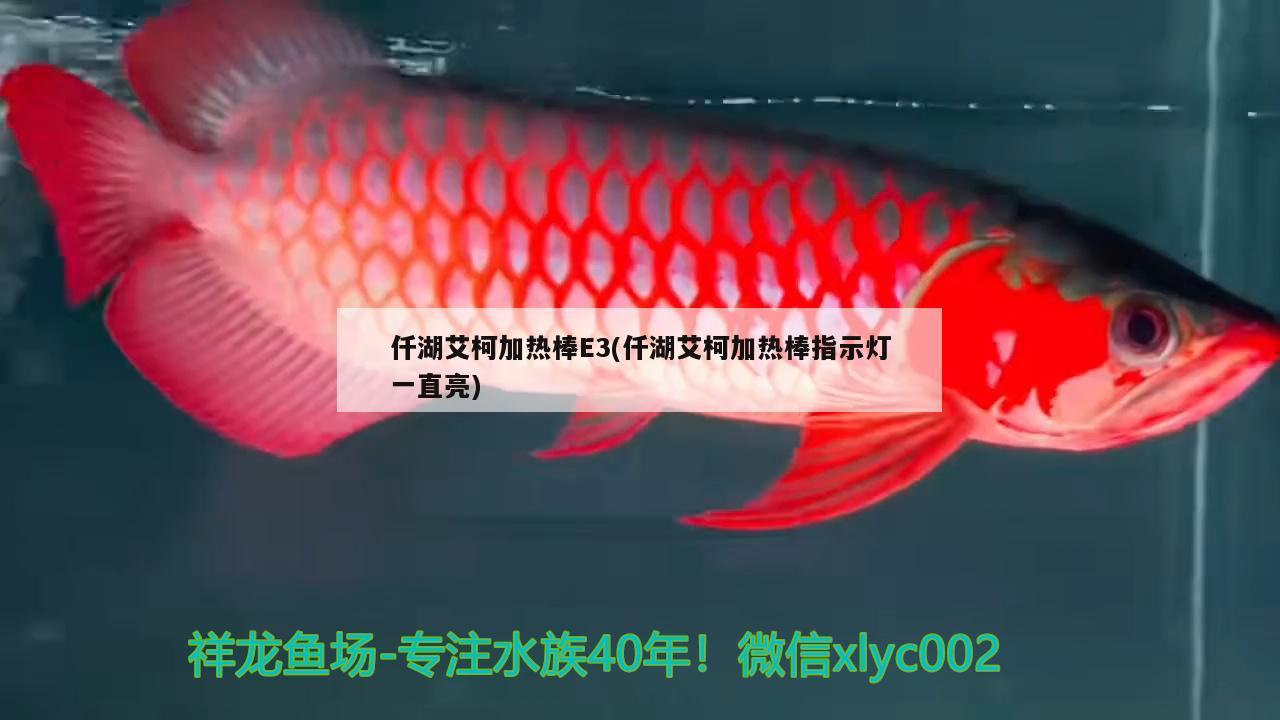 仟湖艾柯加热棒E3(仟湖艾柯加热棒指示灯一直亮)