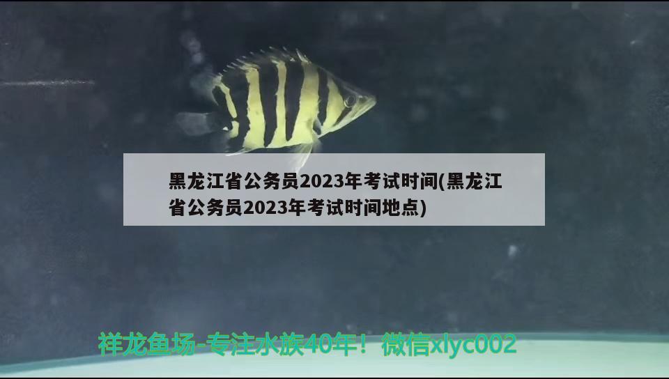 黑龙江省公务员2023年考试时间(黑龙江省公务员2023年考试时间地点)