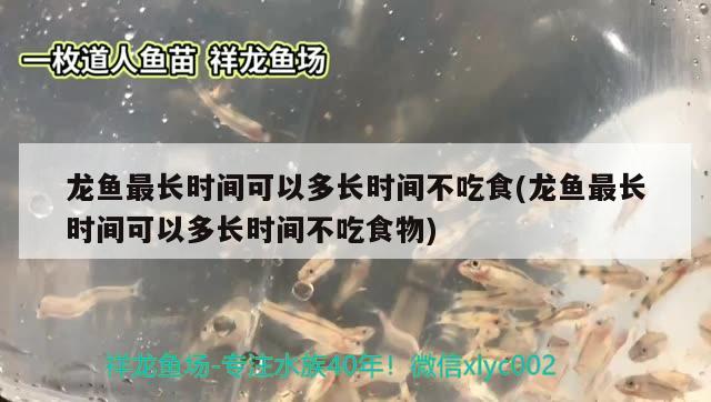 龙鱼最长时间可以多长时间不吃食(龙鱼最长时间可以多长时间不吃食物)